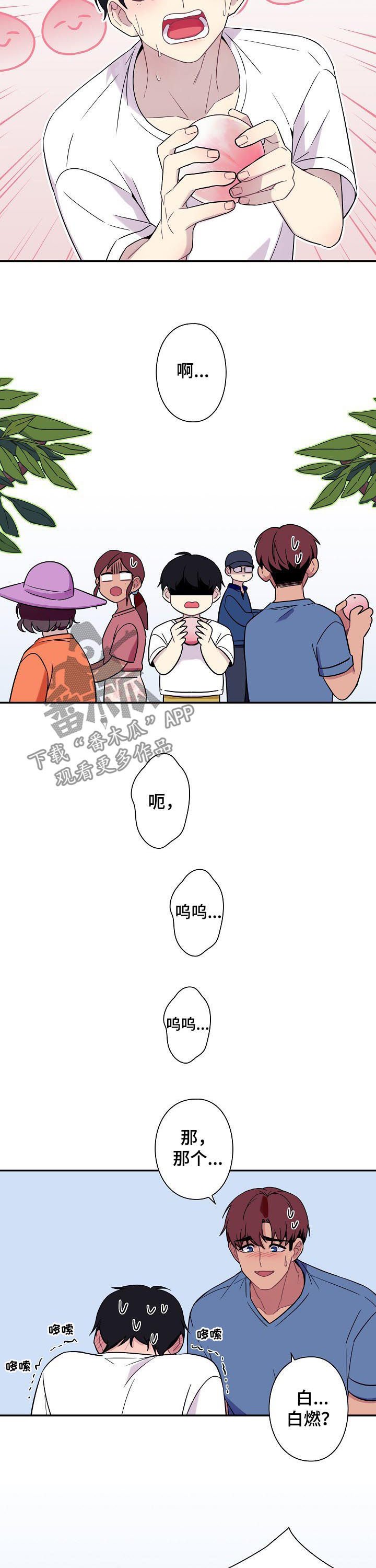 第57章：【番外】小说