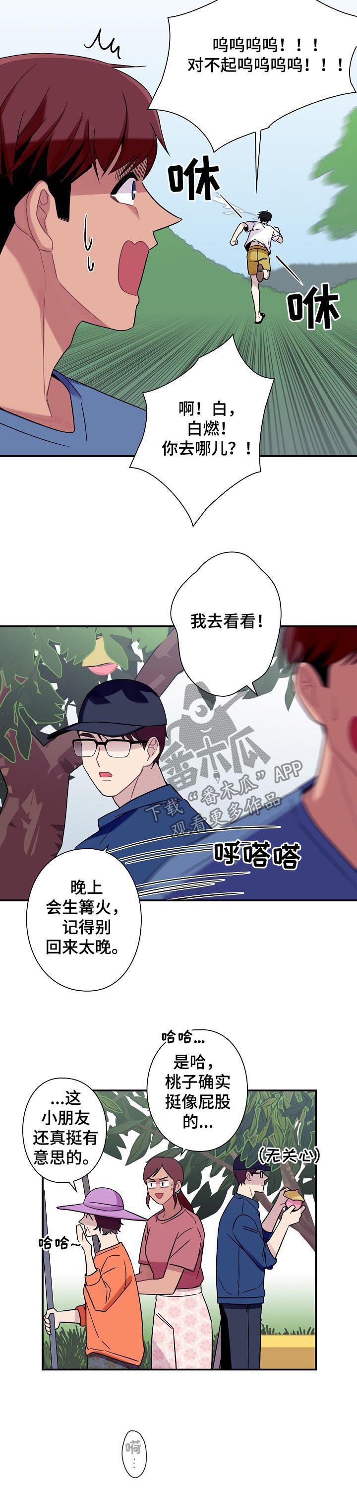 第57章：【番外】小说