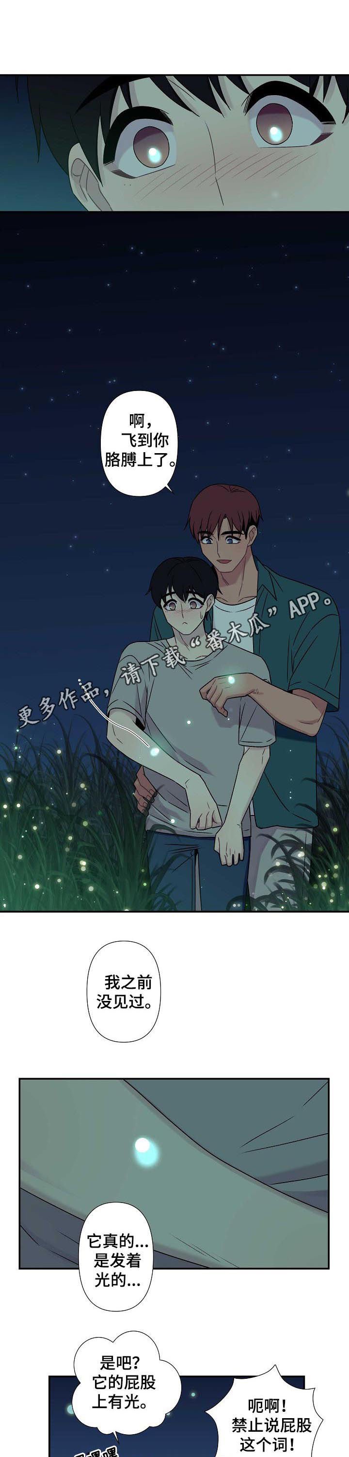 第60章：【番外】萤火虫