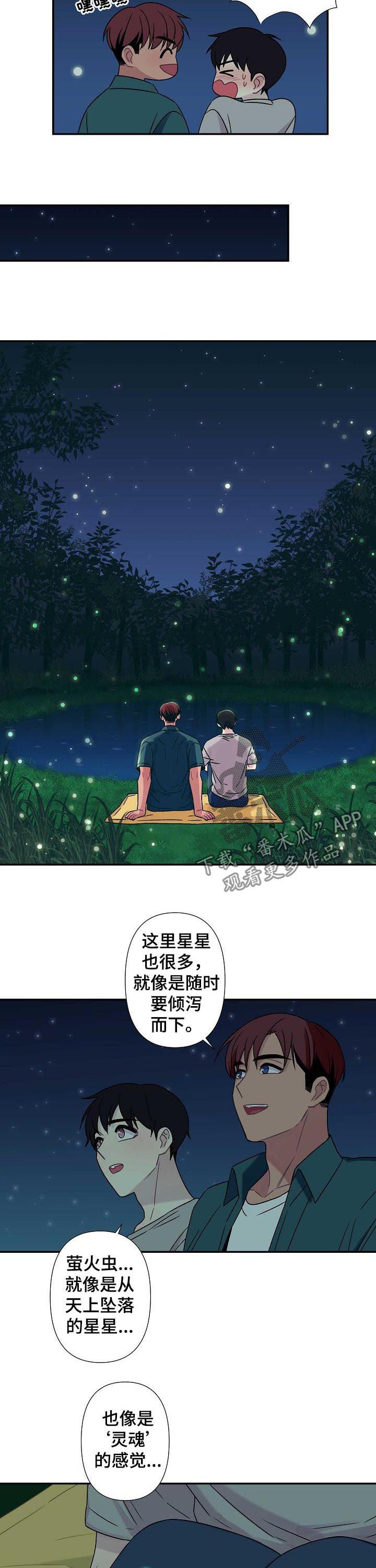 第60章：【番外】萤火虫