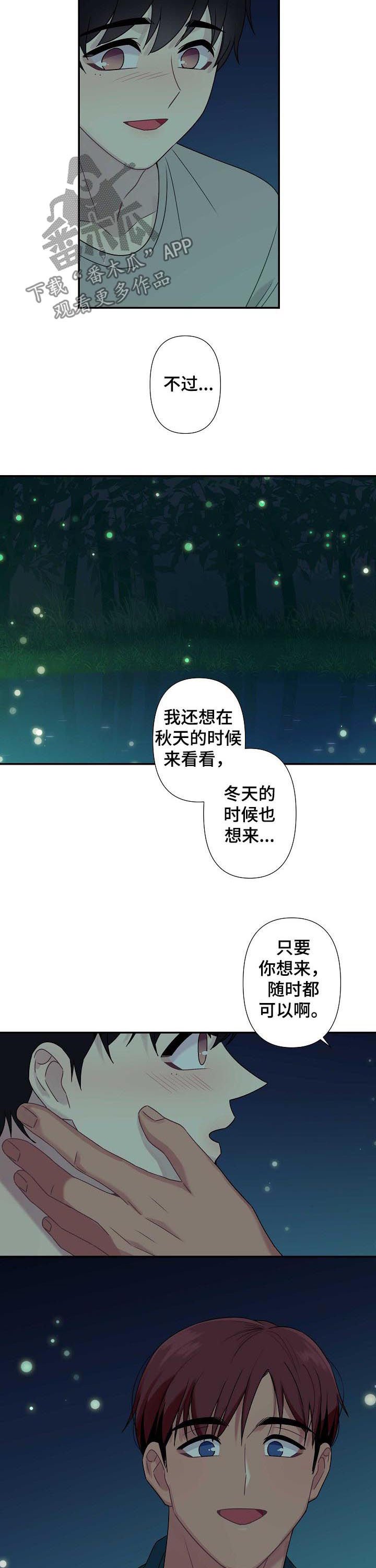 第60章：【番外】萤火虫