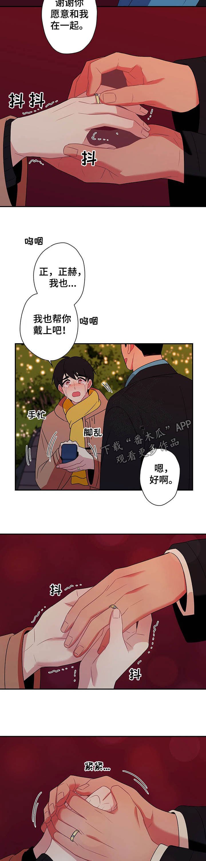 第73章：【番外完结】下雪了