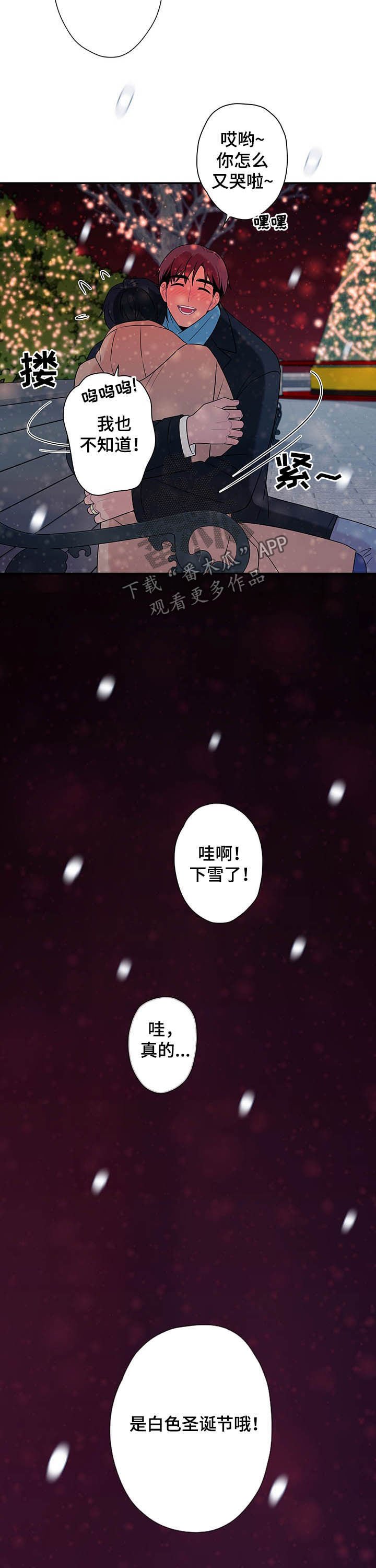 第73章：【番外完结】下雪了
