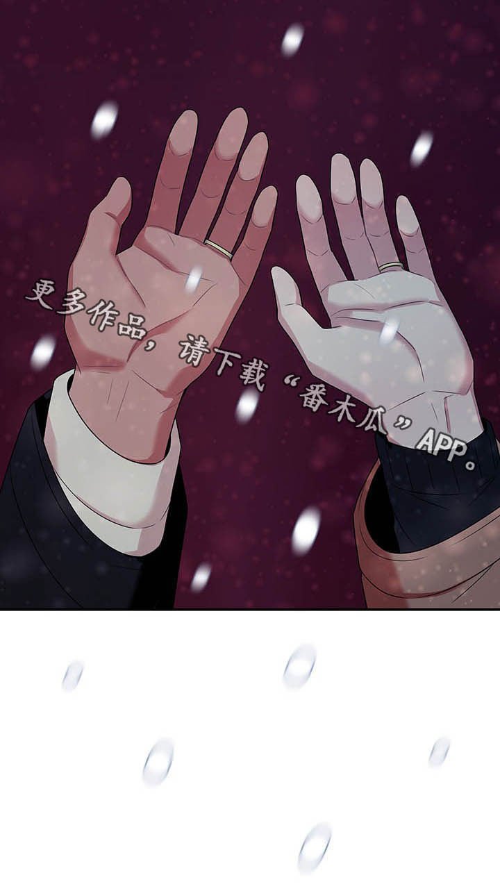 第73章：【番外完结】下雪了