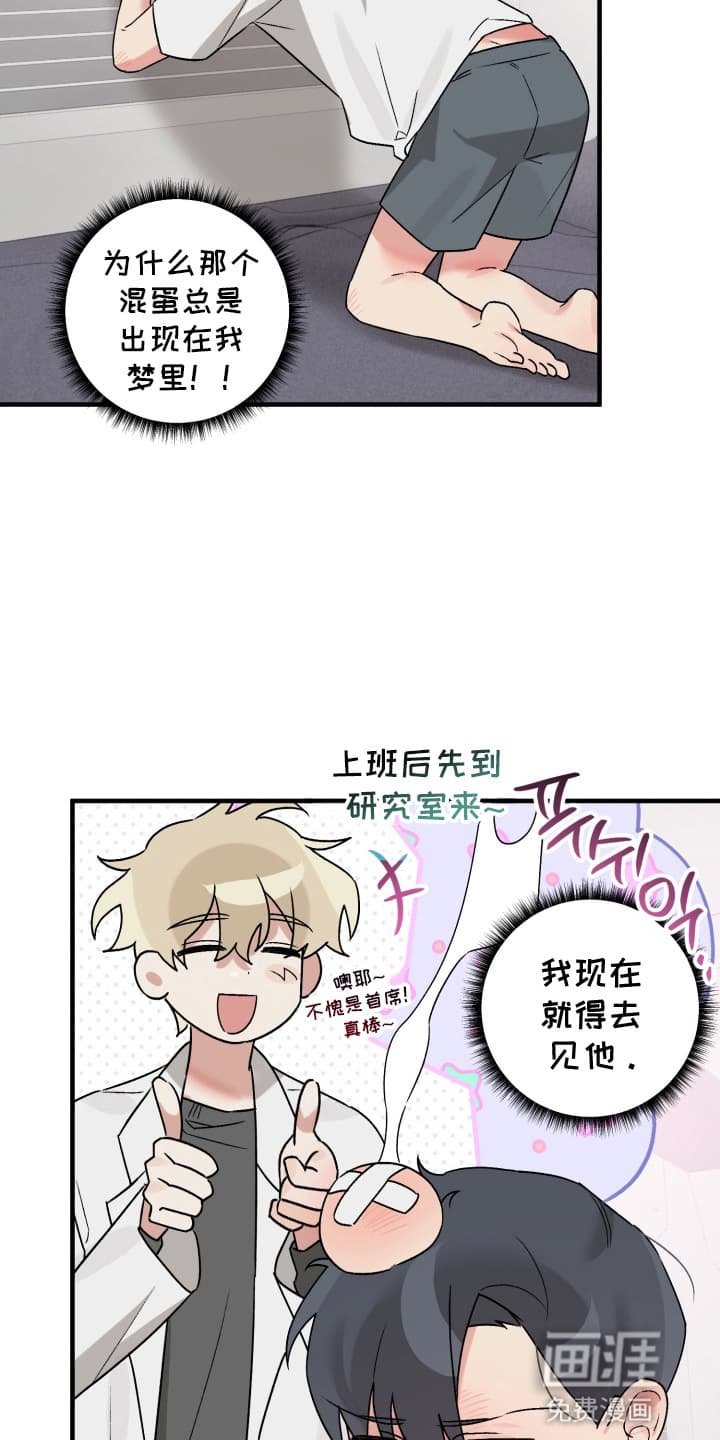 第5章：似梦非梦