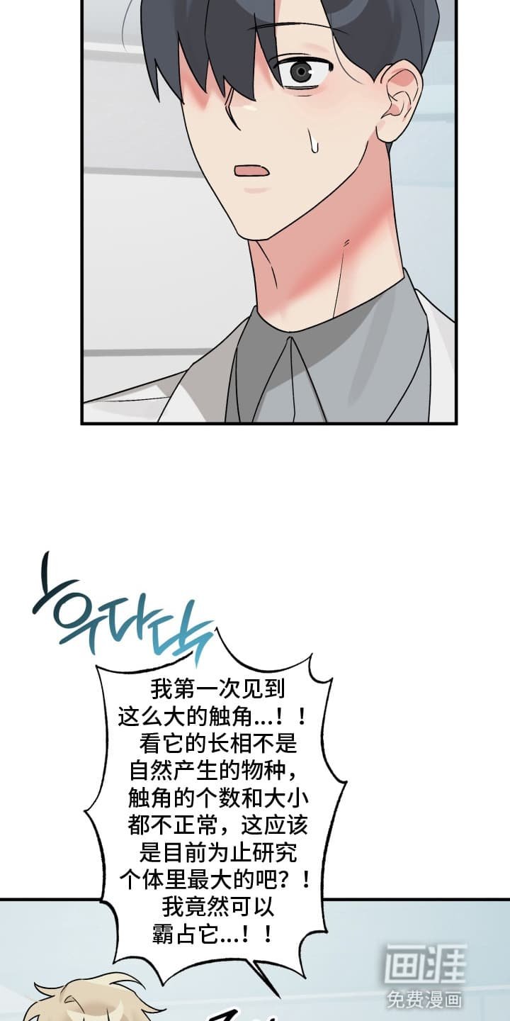 第5章：似梦非梦