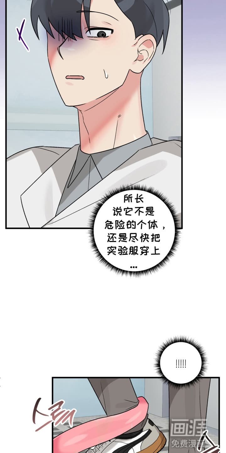 第5章：似梦非梦
