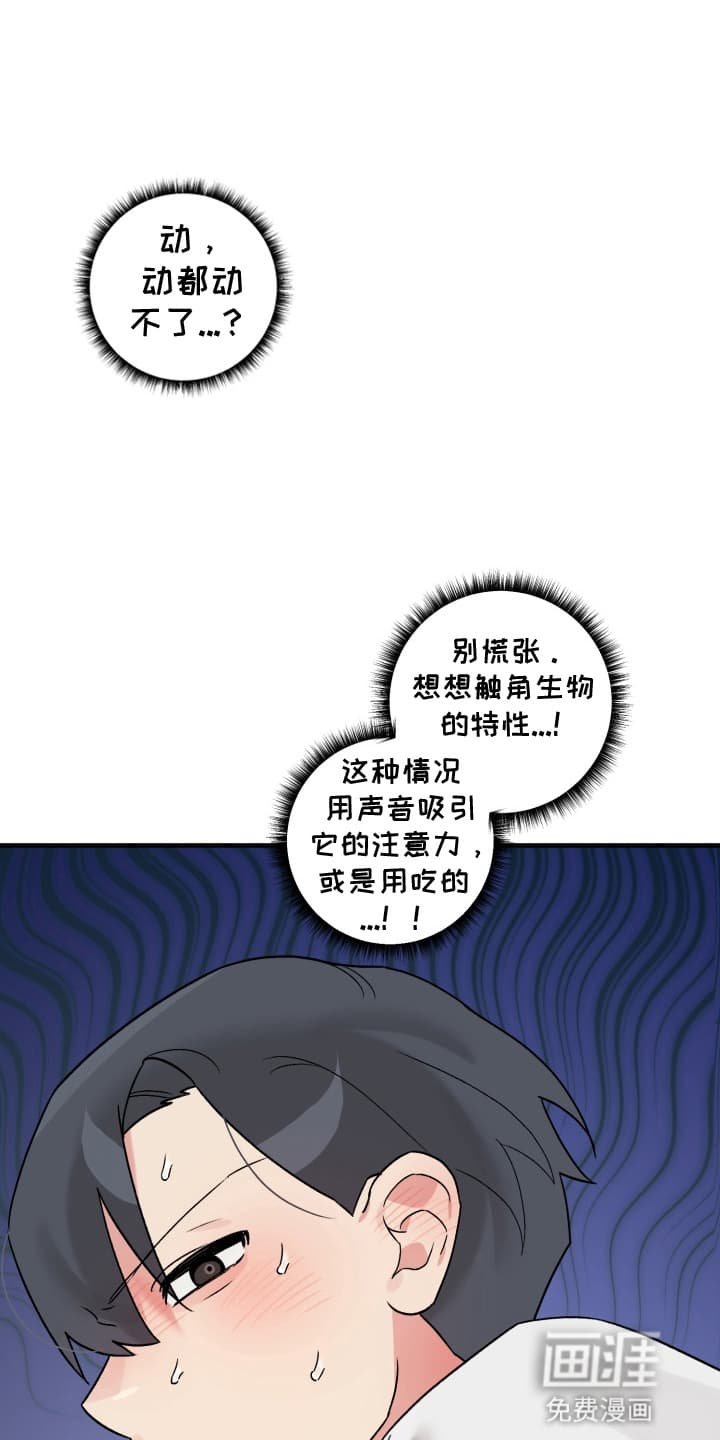 第6章：袭击