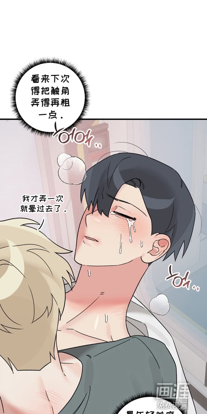 第6章：袭击