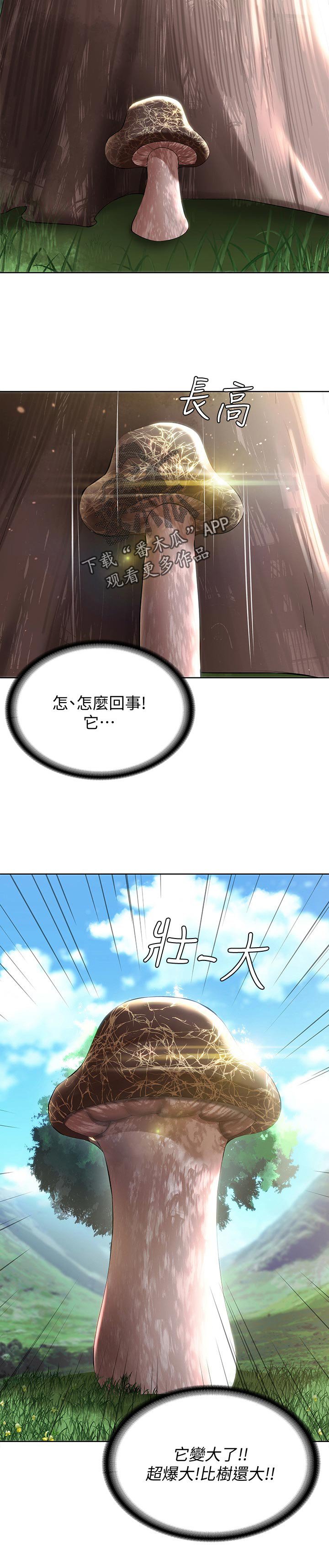 第53章：转过去