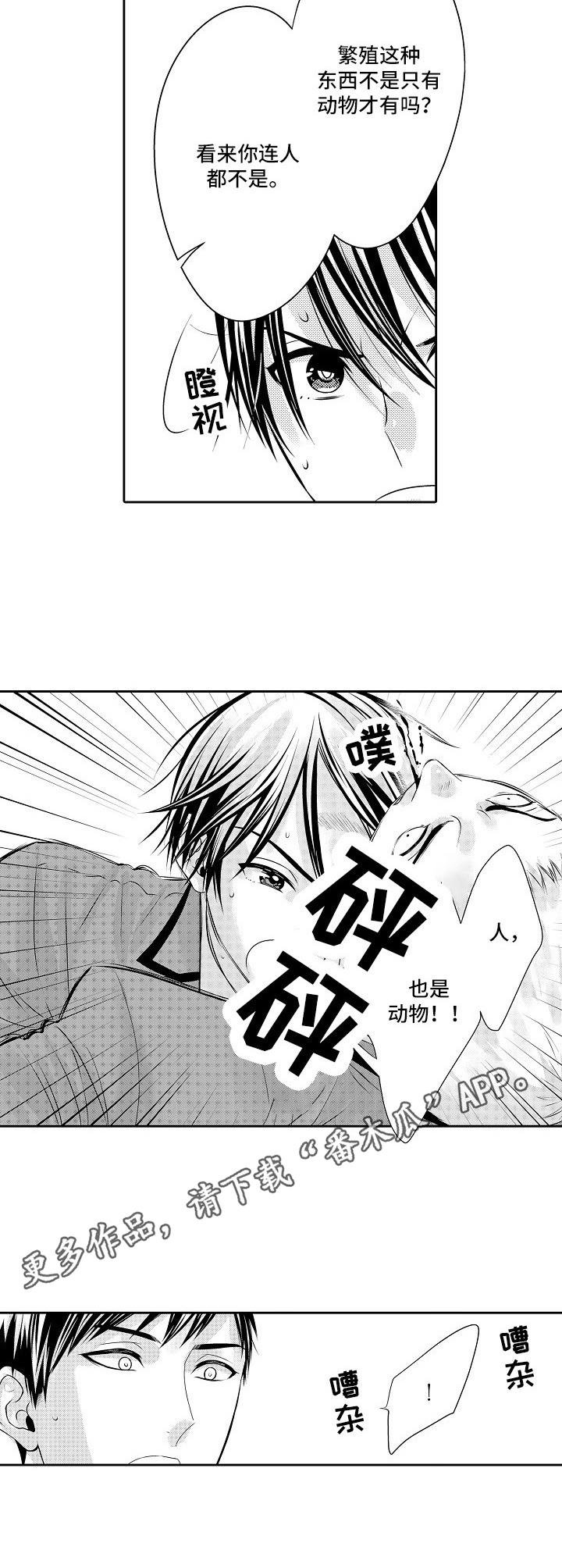 第11章：欺负