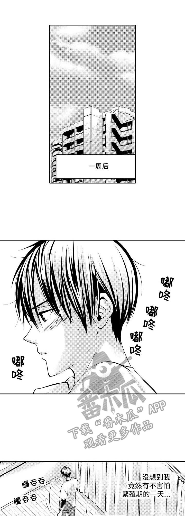 第12章：期待