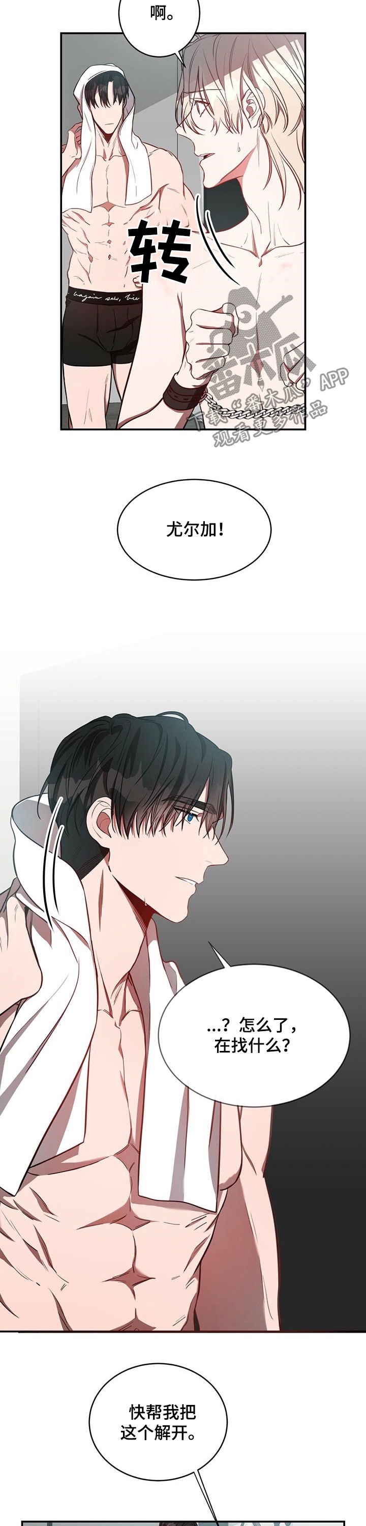 第26章：骗人