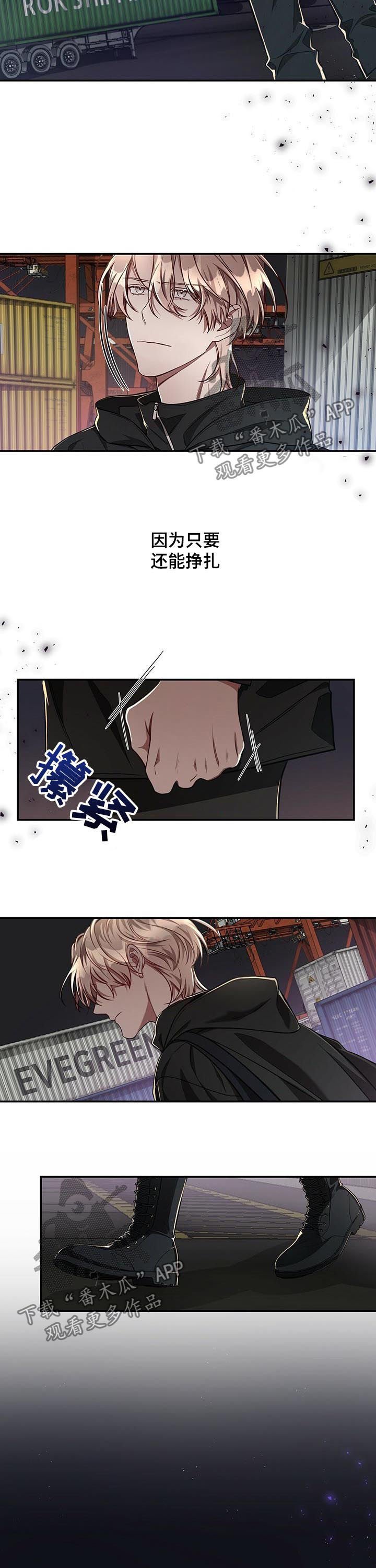 第49章：【第二季】完美结束