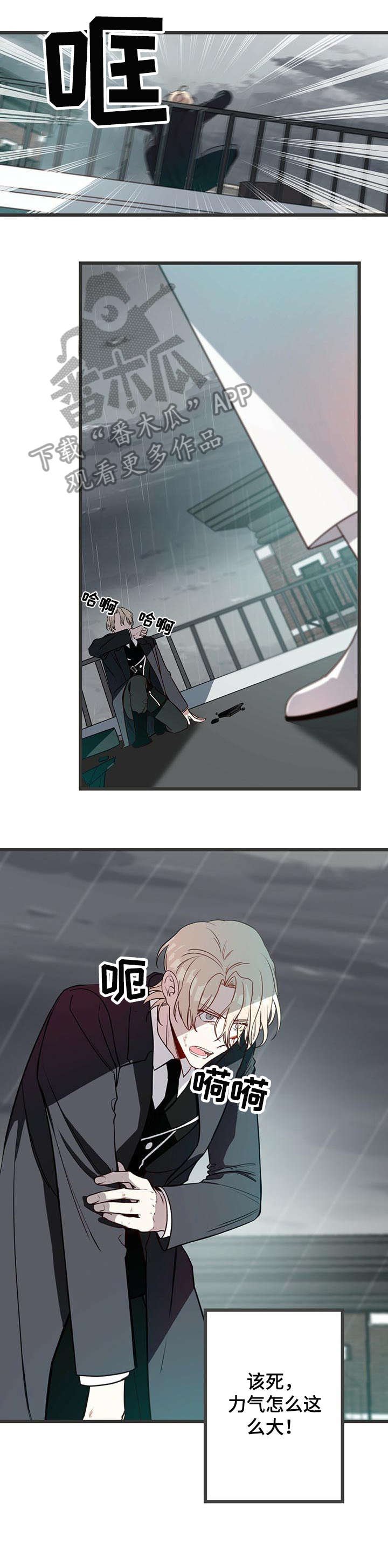 第5章：烟雾弹