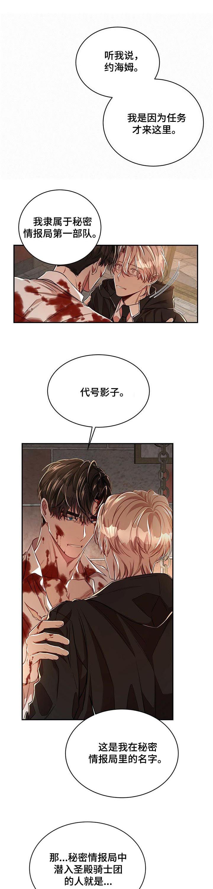 第55章：【第二季】代号影子