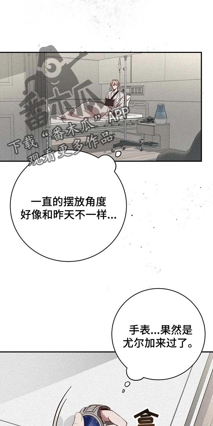 第92章：【第二季】平静