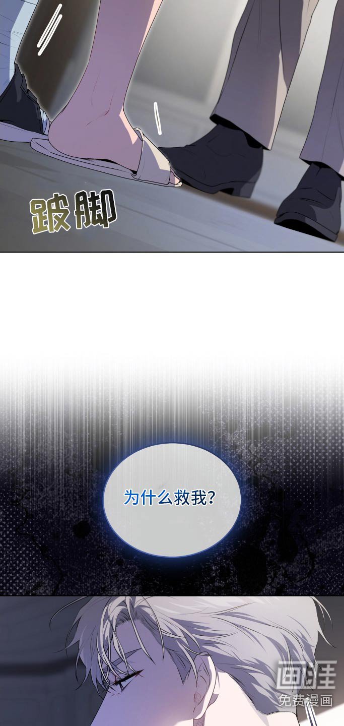 第177章：【第四季】为什么救我