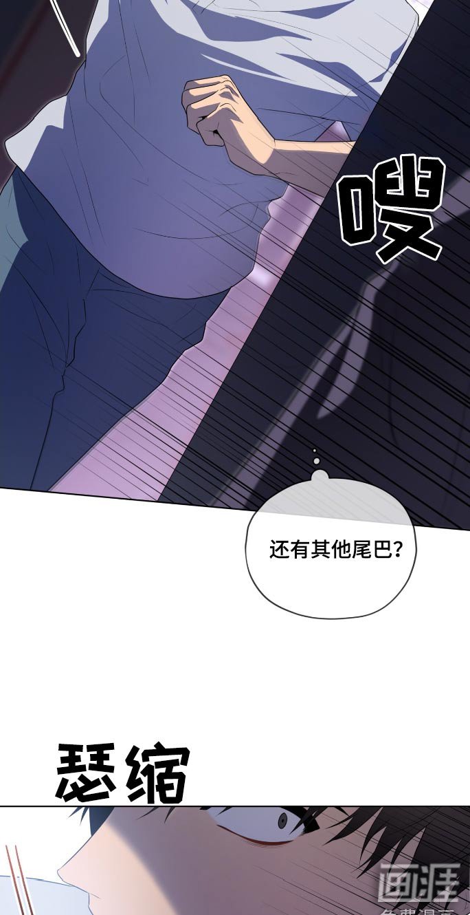 第192章：【第四季】跟随来了