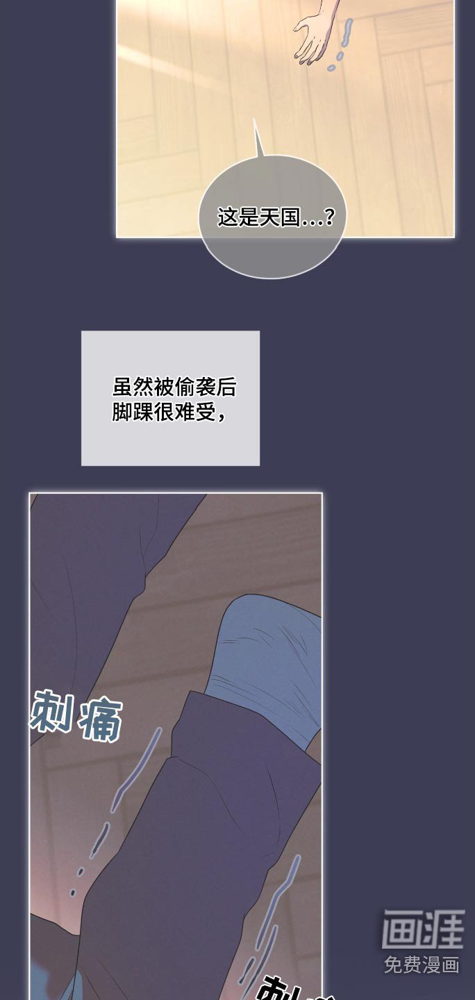 第194章：【第四季】过往的回忆