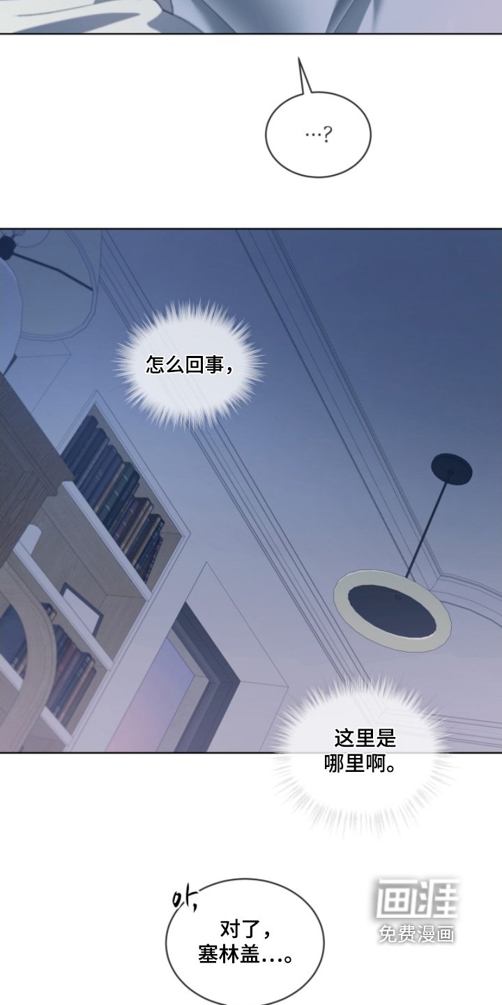 第219章：【第五季】向你问好