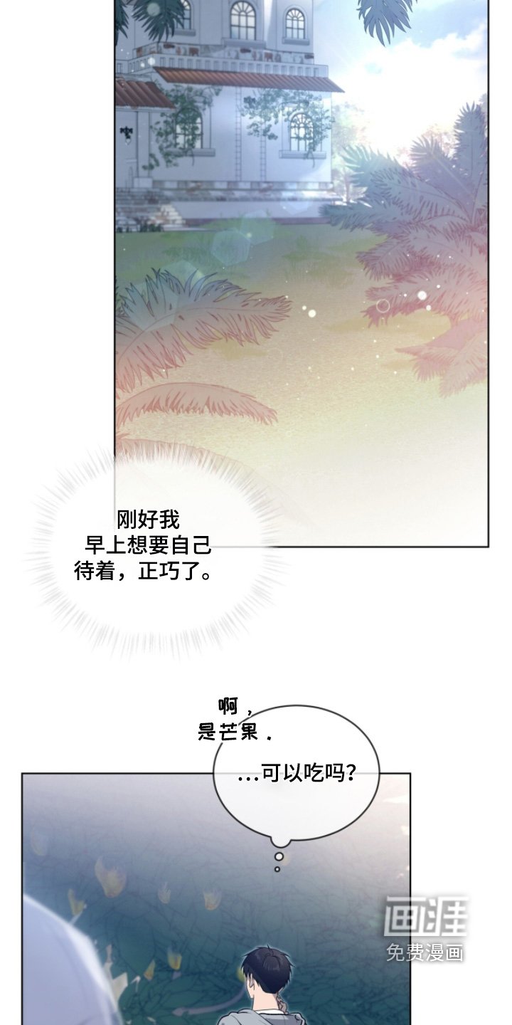 第219章：【第五季】向你问好