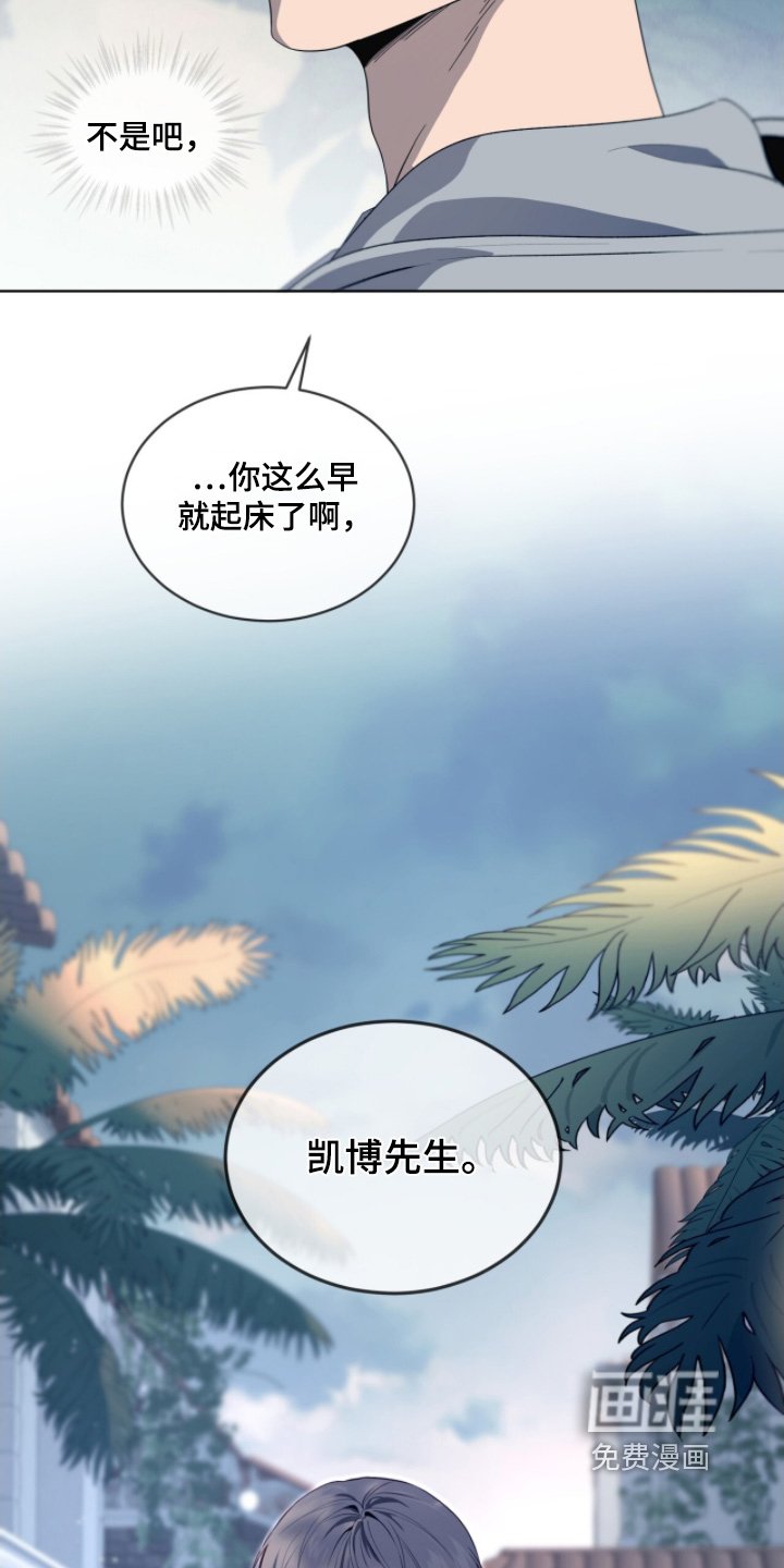第219章：【第五季】向你问好