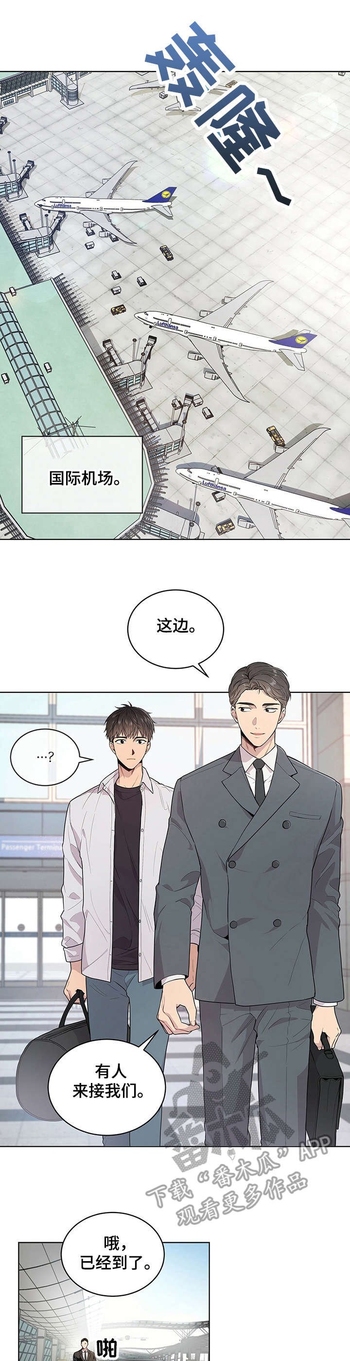 第6章：组织