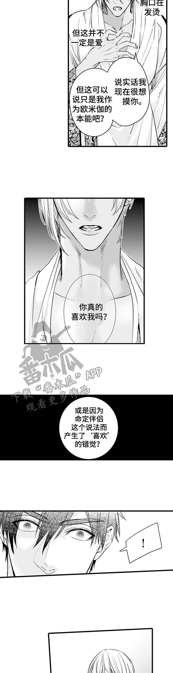 第14章：错觉