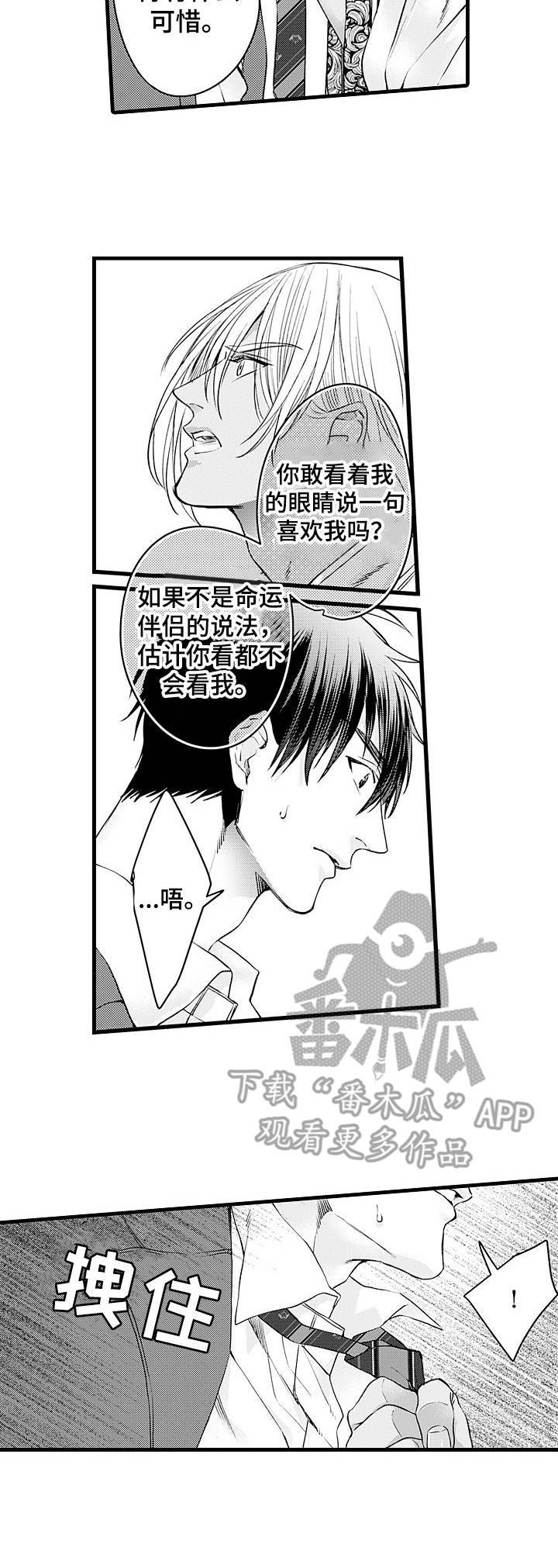 第14章：错觉
