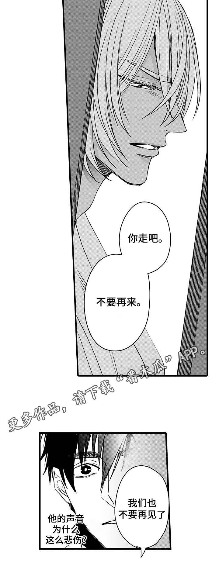 第14章：错觉
