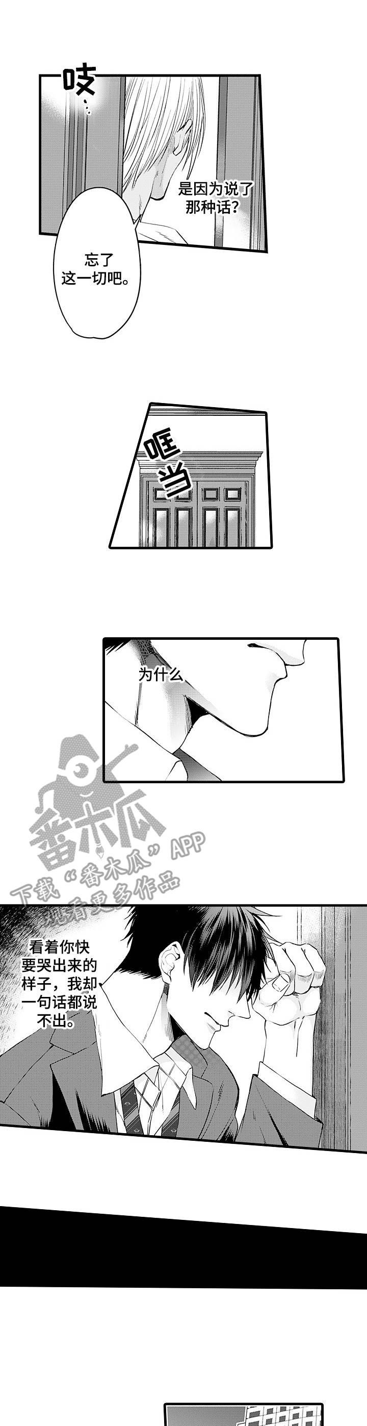 第14章：错觉
