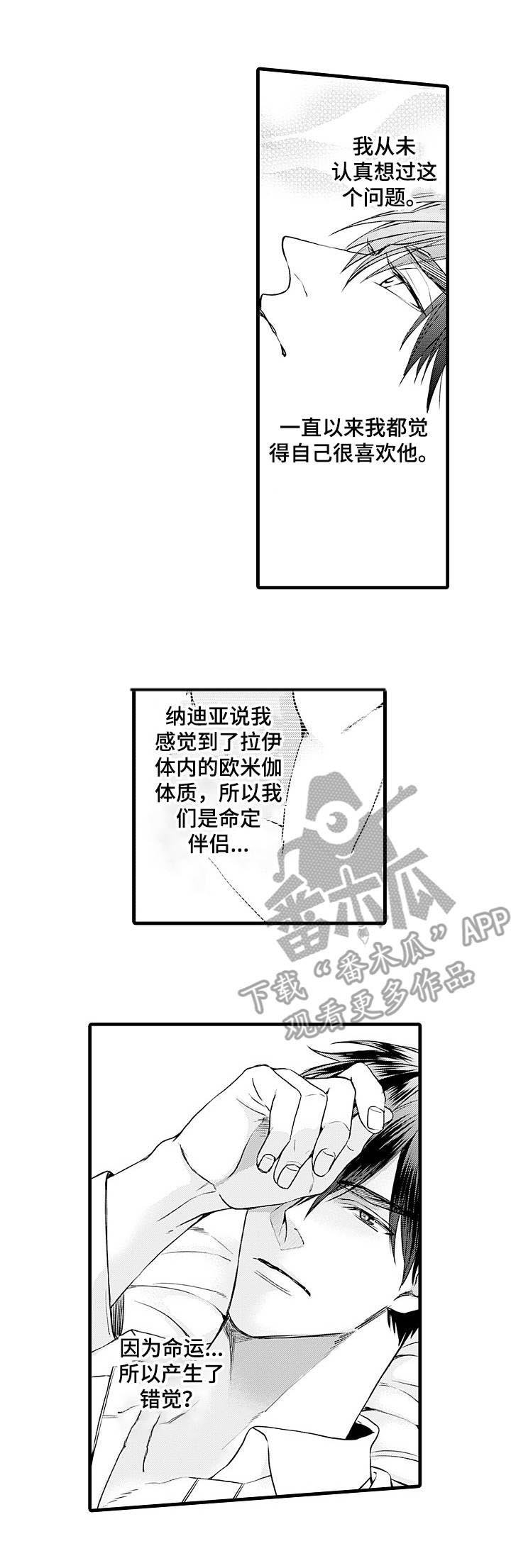 第14章：错觉