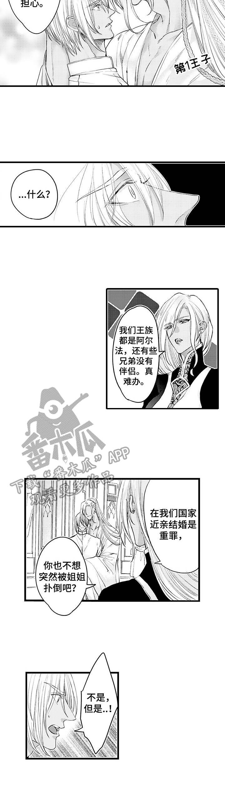 第16章：王族