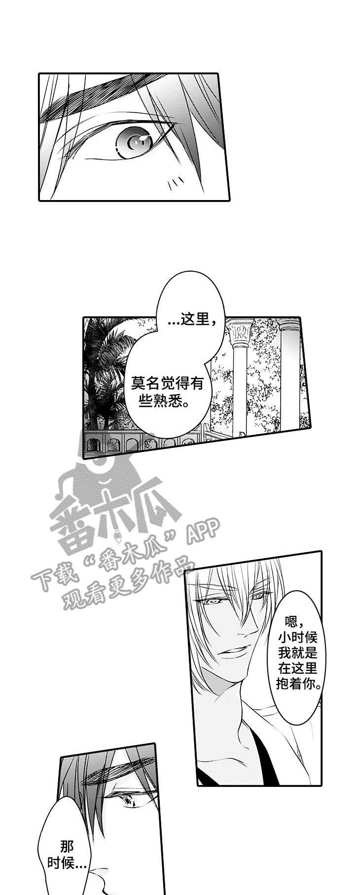 第23章：戒指（完结）