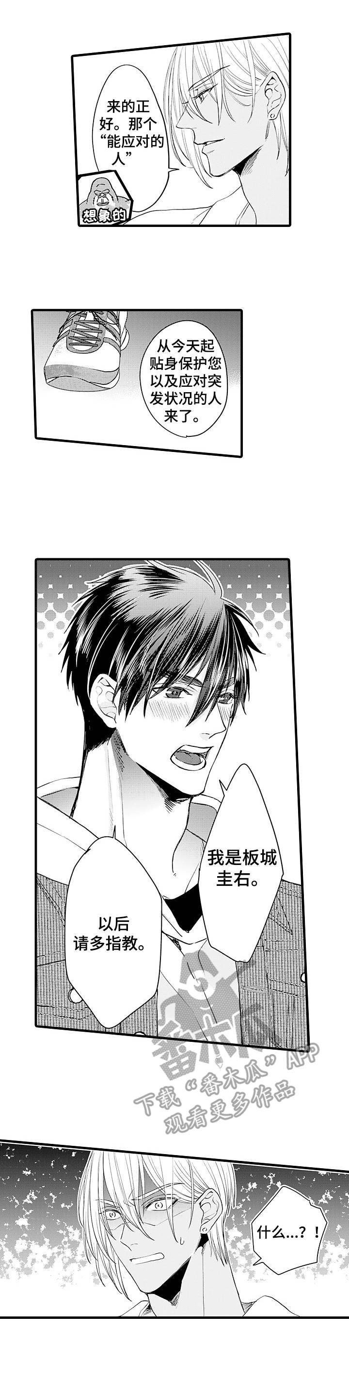 第8章：护卫