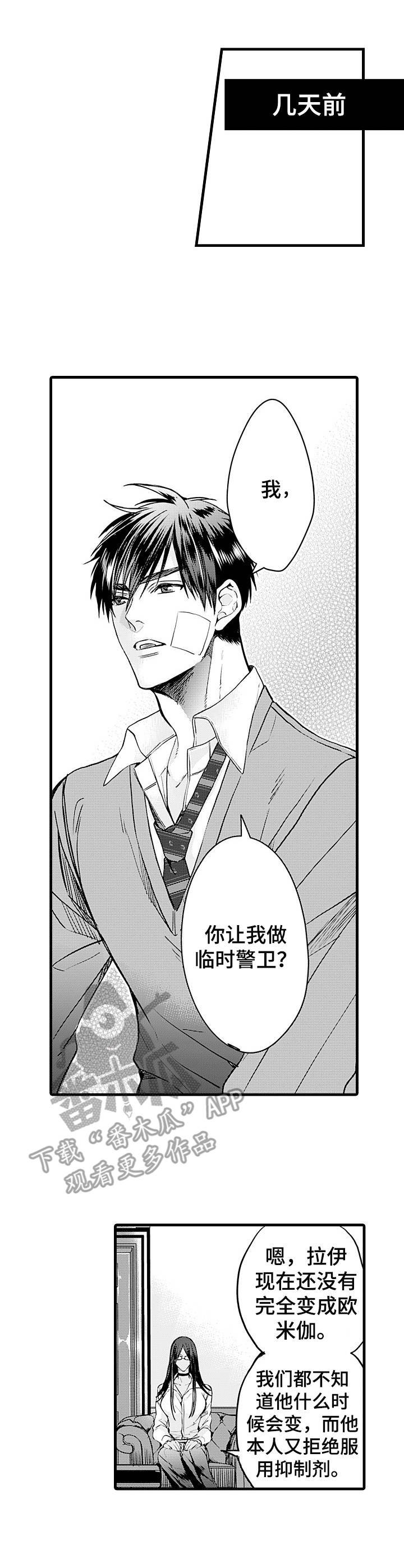 第8章：护卫