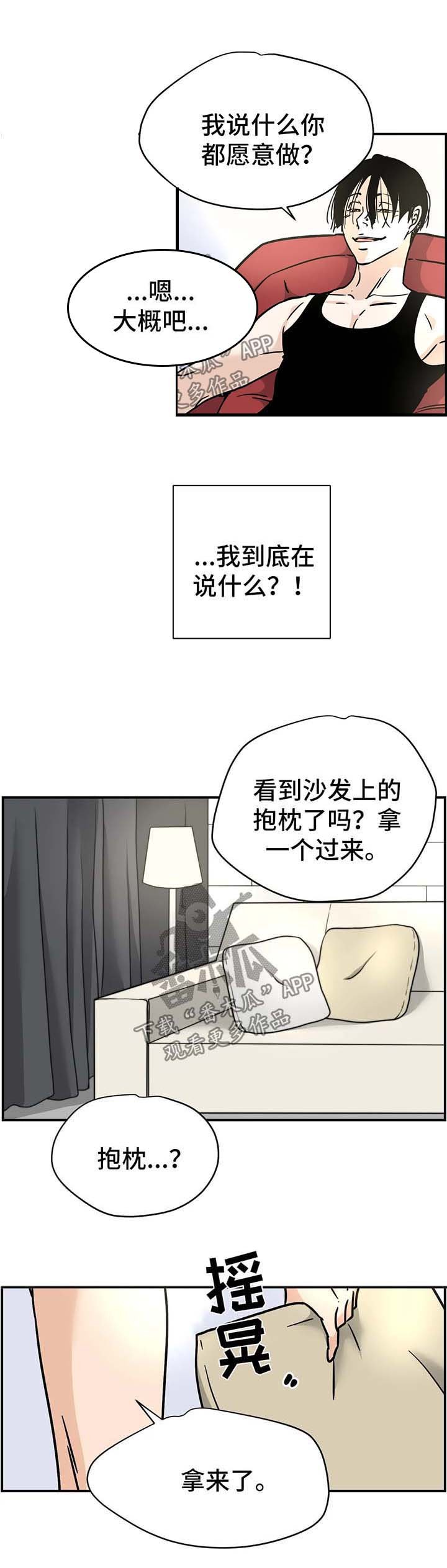 第17章：抱枕