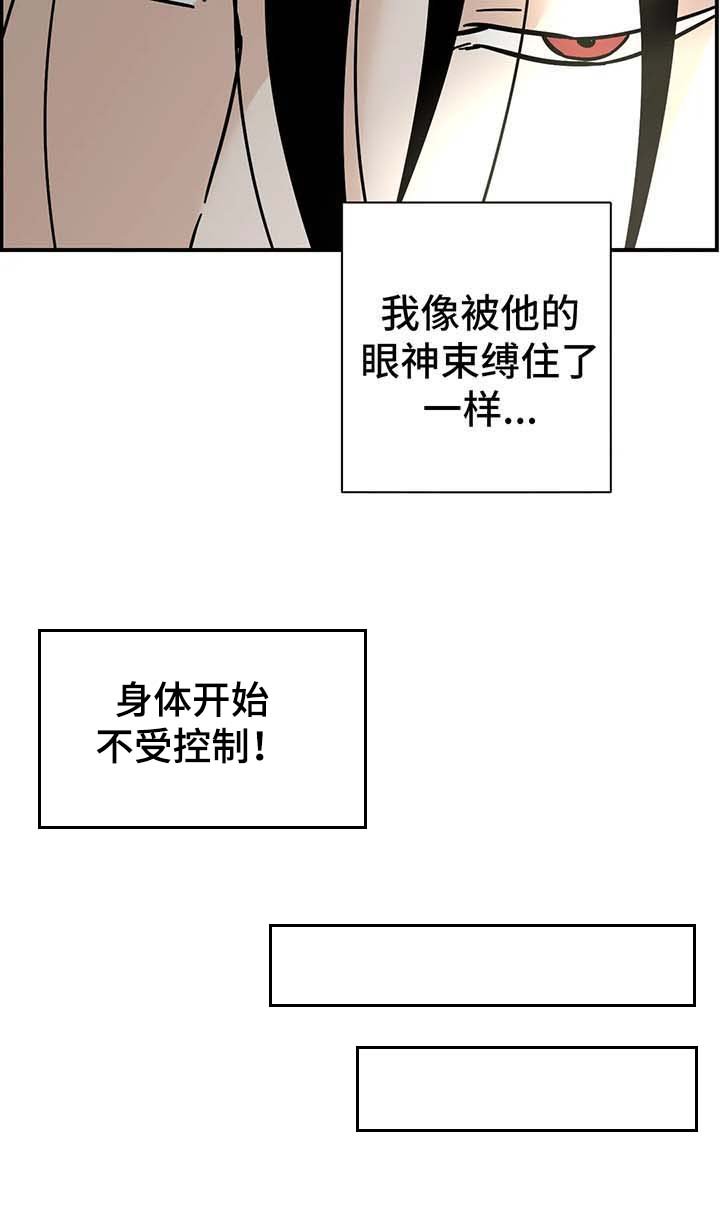 第17章：抱枕