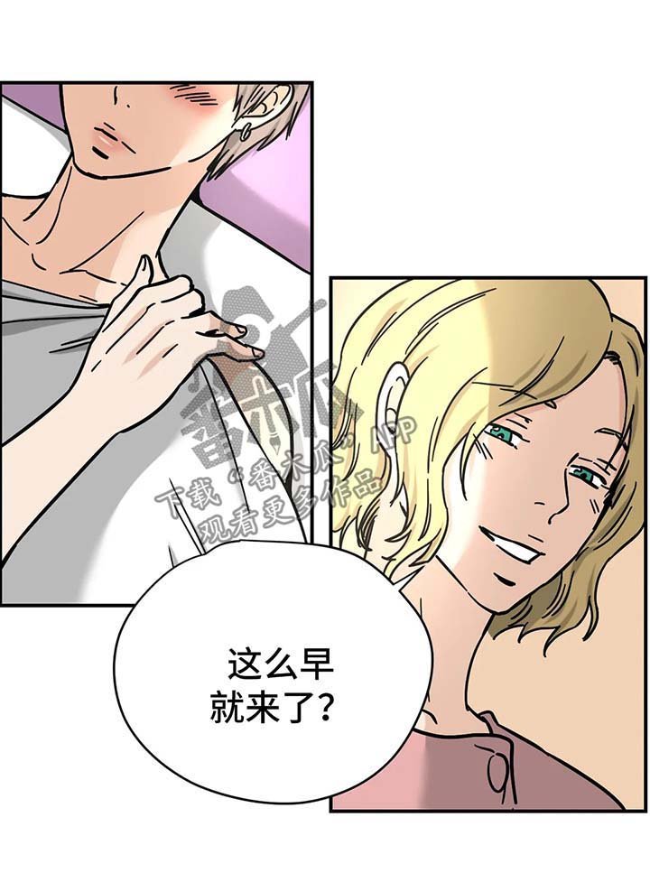 第19章：专家