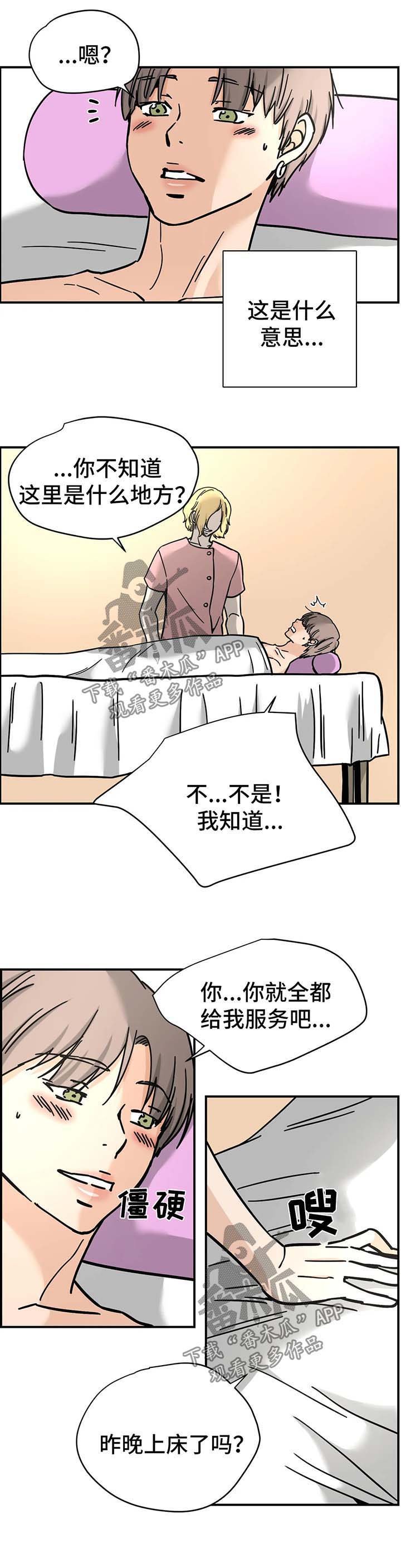第19章：专家