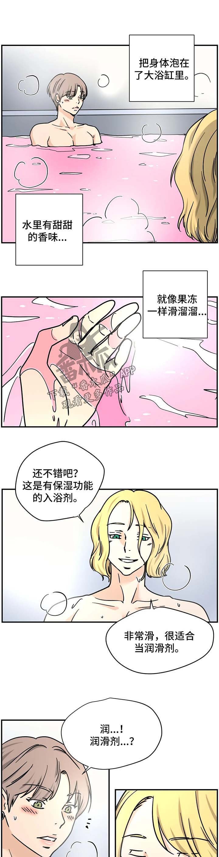 第19章：专家