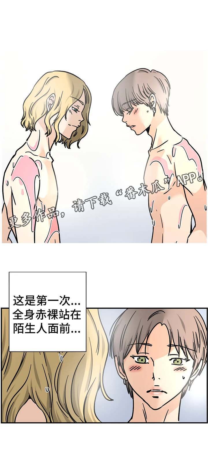 第19章：专家