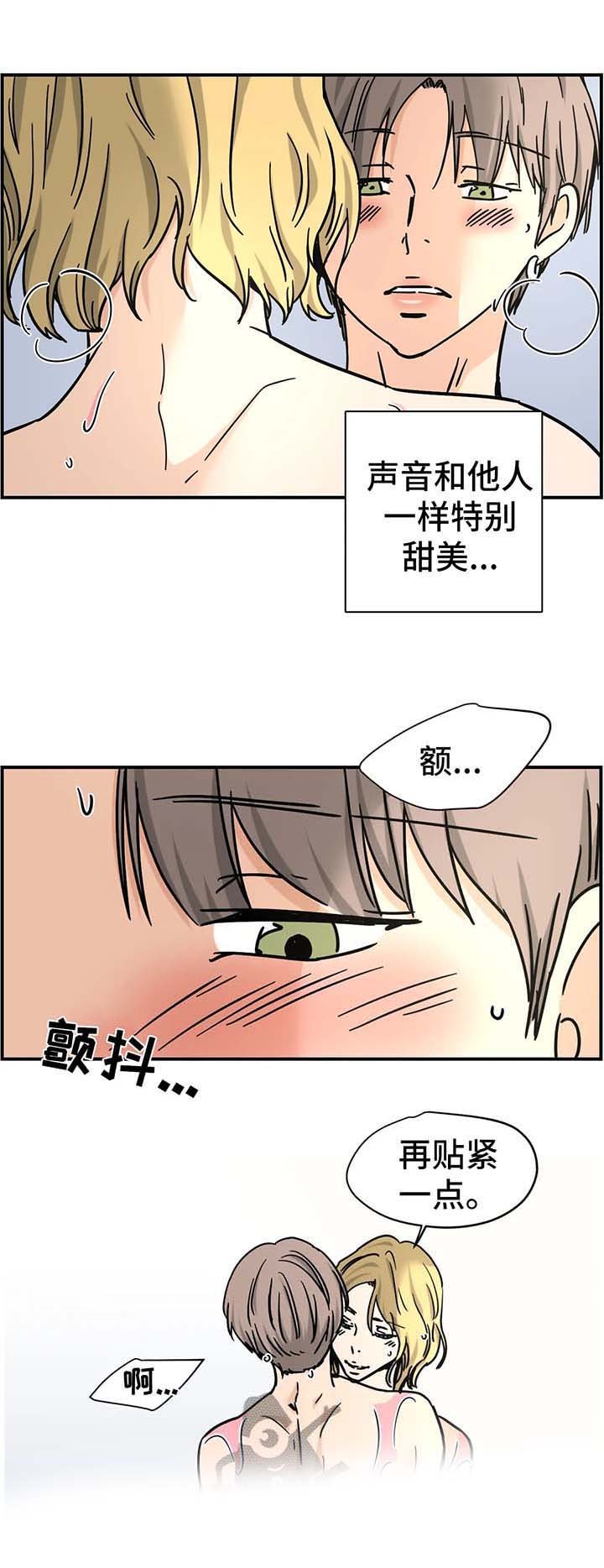 第19章：专家