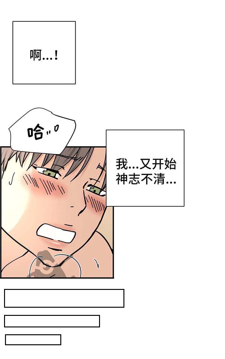 第20章：娱乐