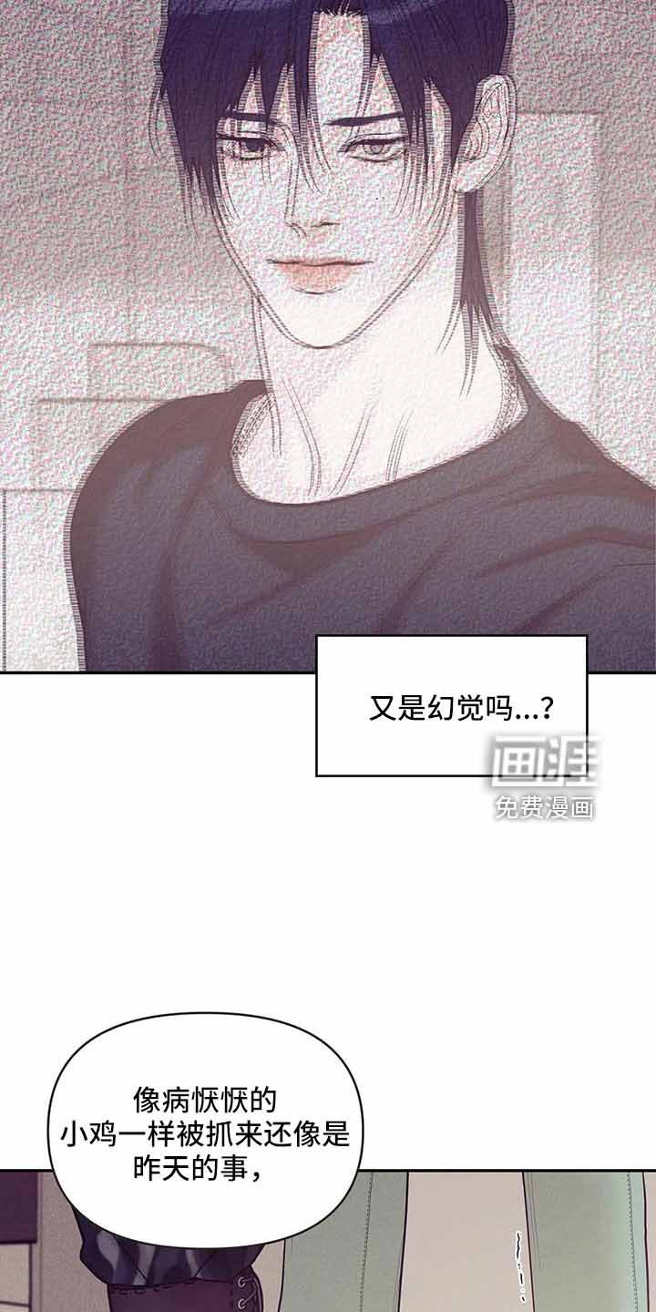第127章：【第三季】遇袭
