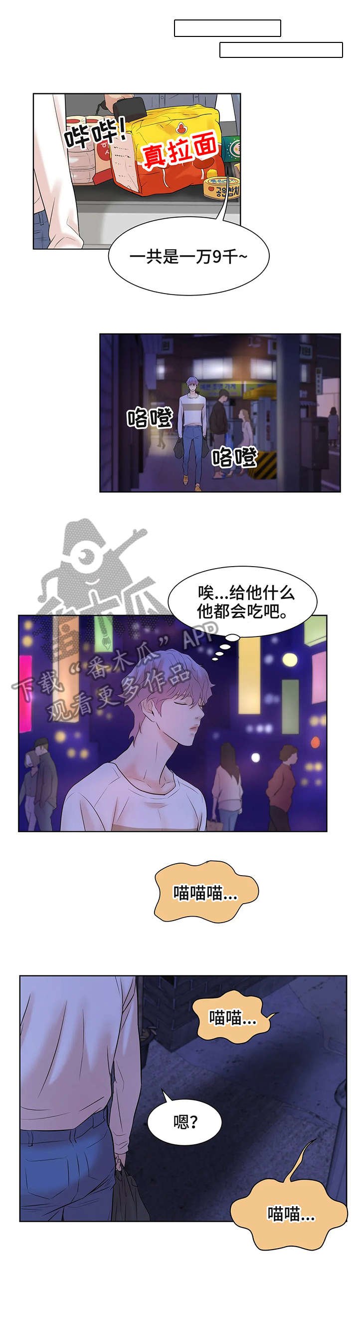 第13章：猫咪