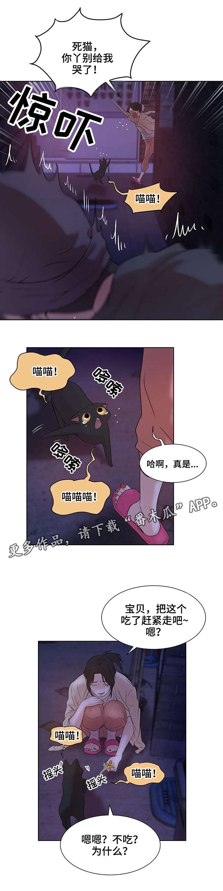 第13章：猫咪