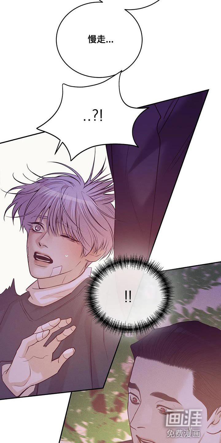 第135章：【第三季】你自己判断