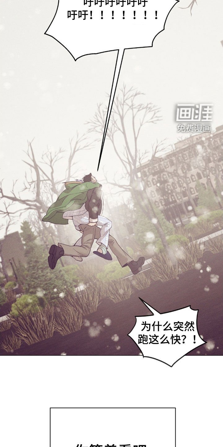 第169章：【番外完结】初雪